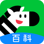 斑马百科